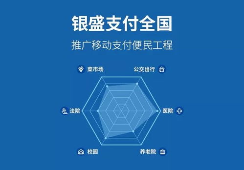 银盛支付亮相中国移动金融安全大会，携手专家共话金融安全应用软件服务