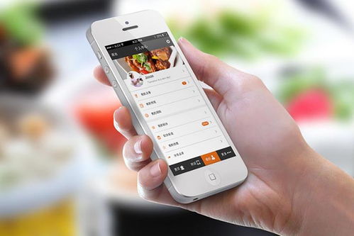 广州应用软件服务 驱动数字化转型的关键力量